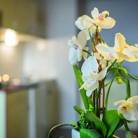 City Residence Nancy