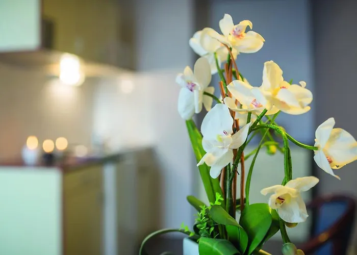 アパートシティ ナンシー